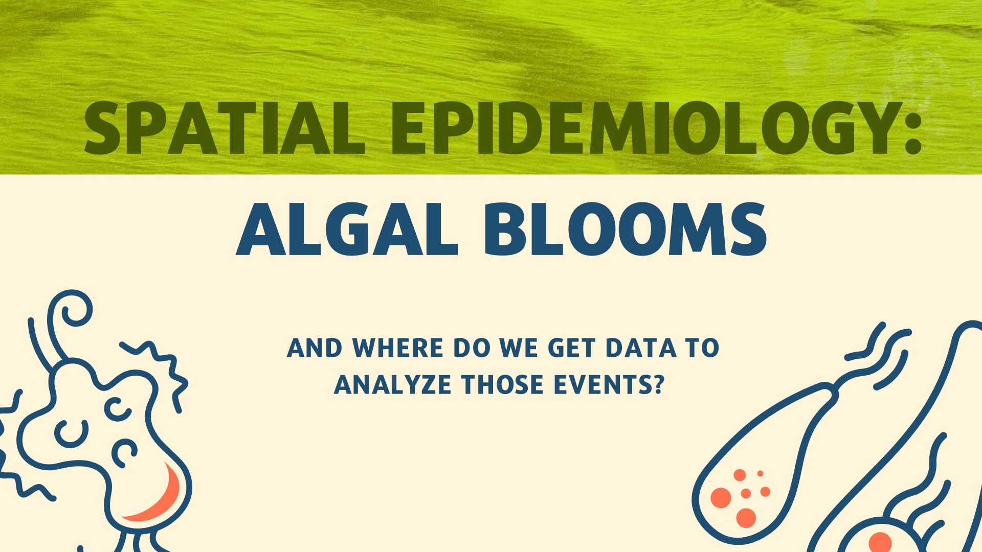 Spatial Epidemiology: Algal Blooms